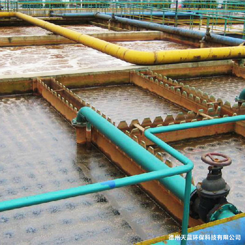 屠宰場(chǎng)污水處理方案